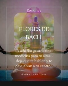Flores de Bach
